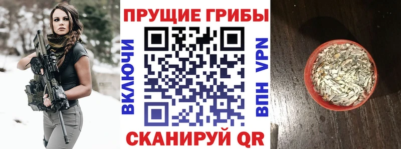 Псилоцибиновые грибы мухоморы  Урень 