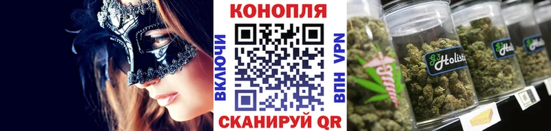 где купить наркотик  Урень  Конопля план 